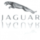 Jaguar Jaguar